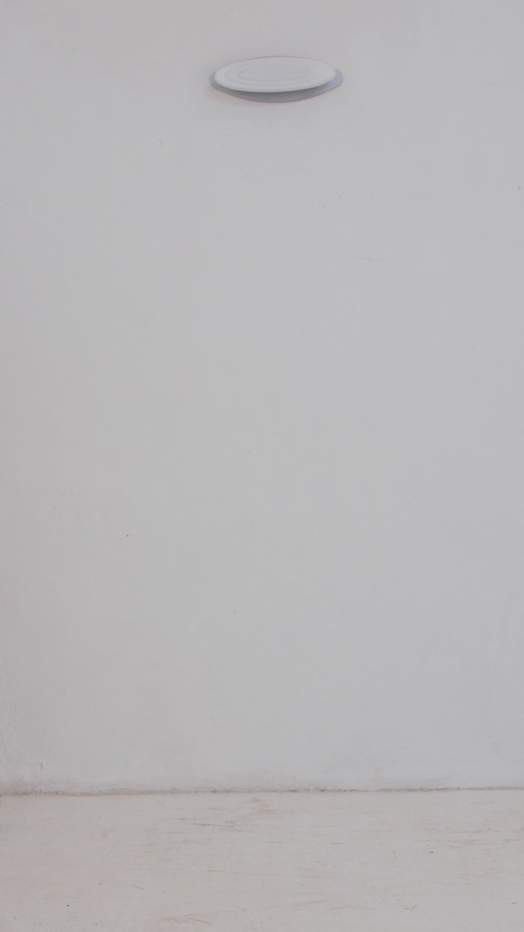 Draped Bermuda Shorts (Limited Edition) Off White - Natalia